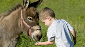 Cheltenham family days out